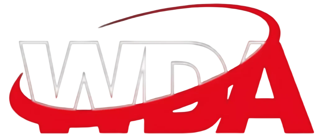 Web Developer Agency